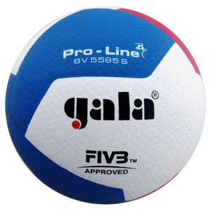 Мяч вол. GALA Pro-Line 12 FIVB, BV5595S, р. 5,синт.кожа ПУ Micro,клеен,бут.кам,бело-гол-красный 5 GALA BV5595S