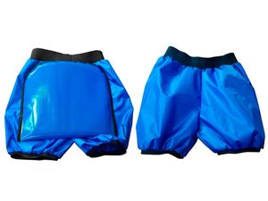 Ледянка-шорты ТЯНИ ТОЛКАЙ Ice Shorts1 M синий GETSPORT 44615