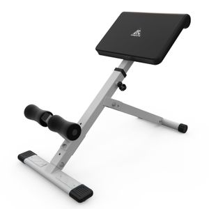 Гиперэкстензия DFC Homegym SJ1006W белый DFC SJ1006W