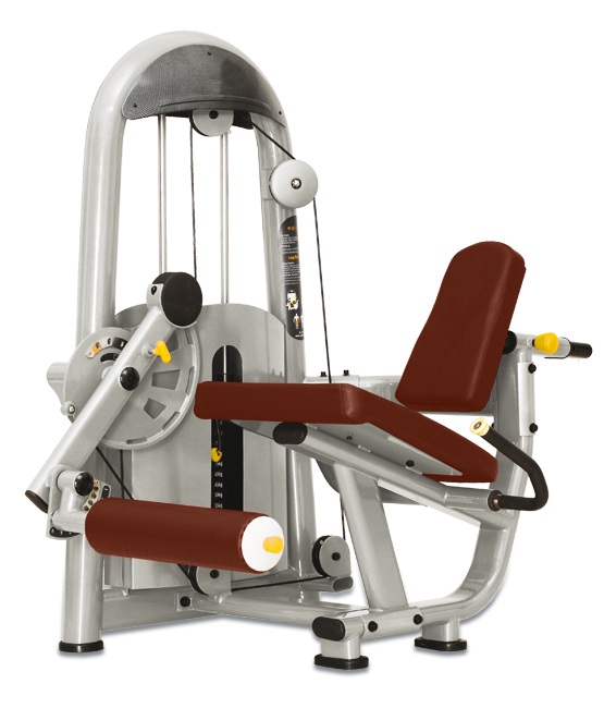 Bronze Gym LD 9034