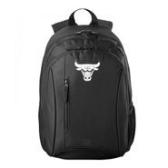 Рюкзак спорт. Wilson Team  Chicago Bulls Backpack, WZ6015003, черный 45*28*18см WILSON WZ6015003