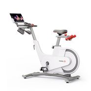 Велотренажер YESOUL Smart Spinning bike V1 белый YESOUL V1 WHITE