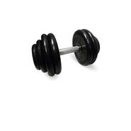 Неразборная гантель c вращающейся ручкой, 28.5 кг MB BARBELL MB-FdbM-B28,5